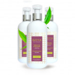Goya Anti