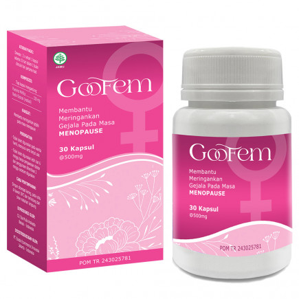 Goofem